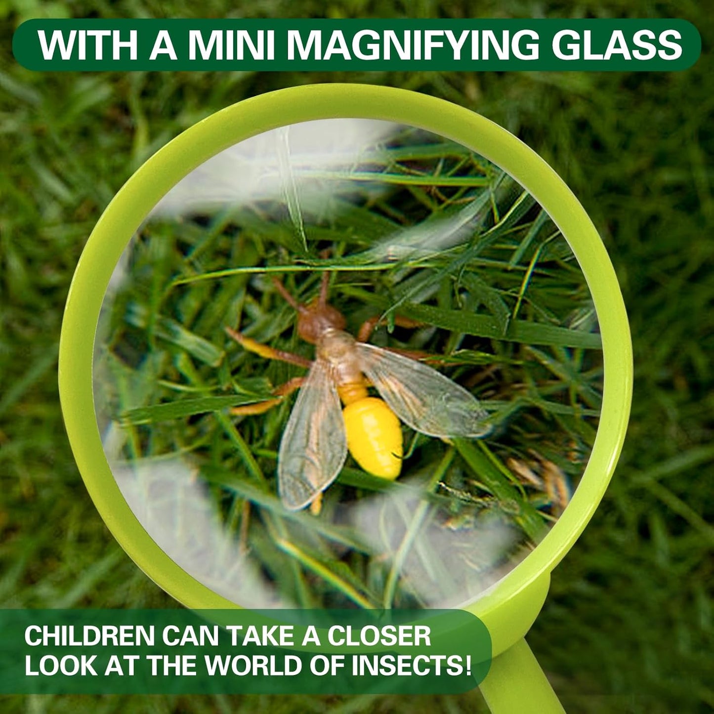 Fly Spider Catcher, Handheld Spider Catcher Long Handle, Bug Catcher for Kids, Bug Catcher with Magnifierfor, Fly Catching Tool for Children to Observe and Quick Release Insects (Green)