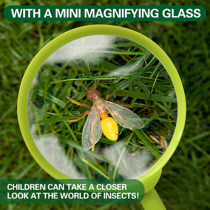 Fly Spider Catcher, Handheld Spider Catcher Long Handle, Bug Catcher for Kids, Bug Catcher with Magnifierfor, Fly Catching Tool for Children to Observe and Quick Release Insects (Green)